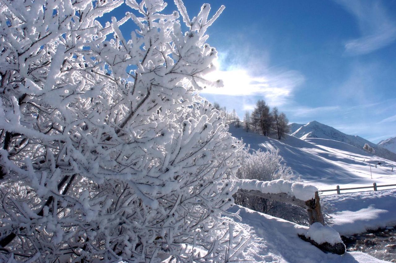 Alexander Charme Hotel Livigno Exterior foto